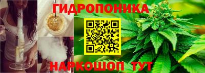 дживик Ачхой-Мартан